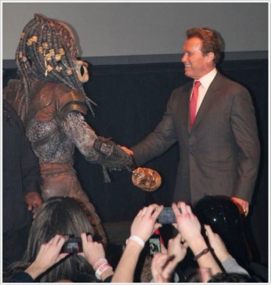 Cool Funny Images Of The Day