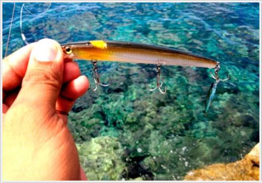 Cool Funny Images Of The Day