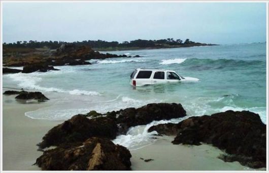 Cool Funny Images Of The Day