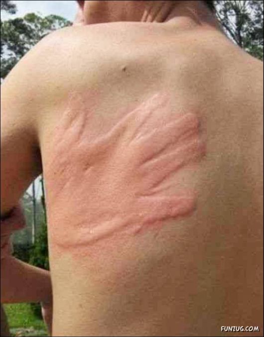 Cool Miscellaneous Pictures Of The Day