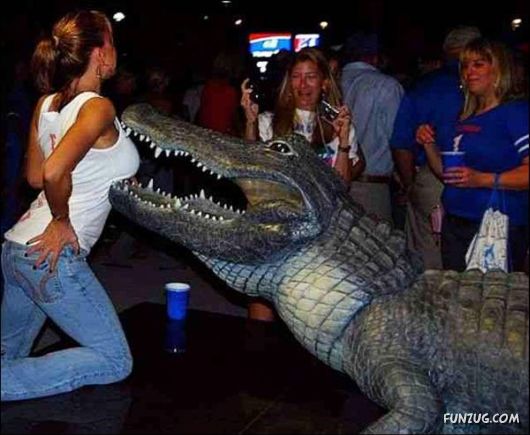 Cool Miscellaneous Pictures Of The Day