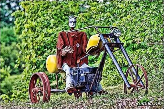 Cool Miscellaneous Pictures Of The Day