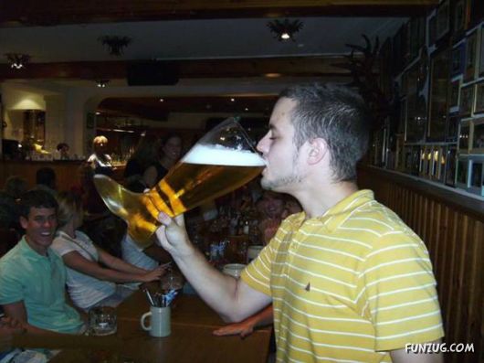 Daily Fun Pictures Collection 