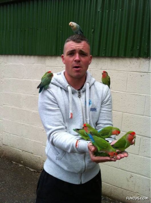 Daily Fun Pictures Collection 