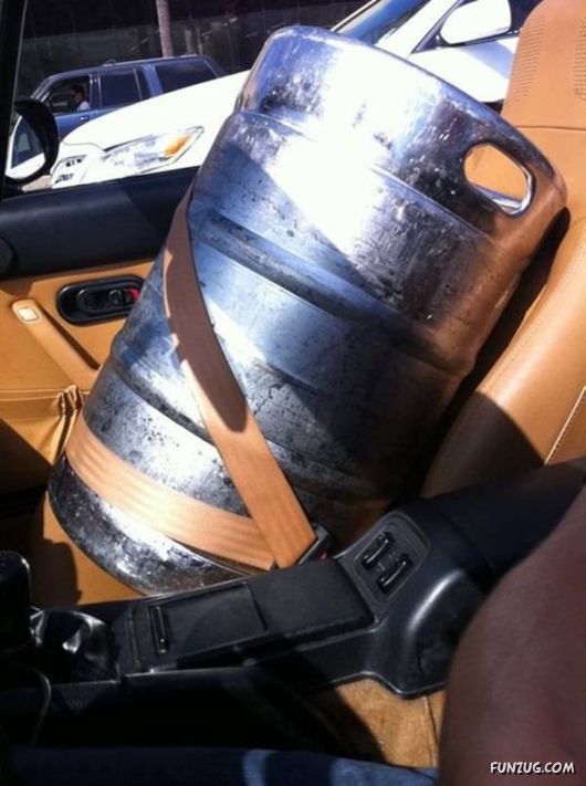 Daily Fun Pictures Collection 