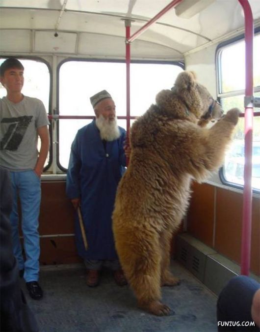 Daily Fun Pictures Collection 