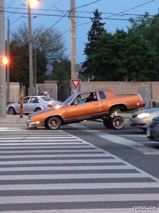 Daily Fun Pictures Collection 