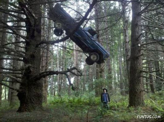 Daily Fun Pictures Collection 