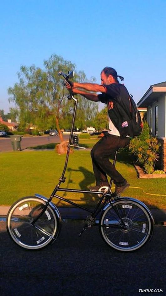 Daily Fun Pictures Collection 