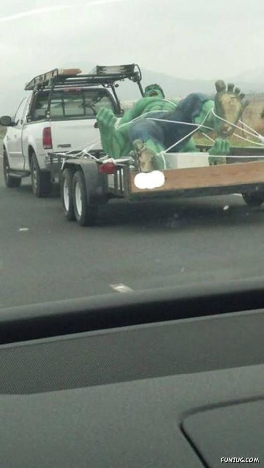 Daily Fun Pictures Collection 