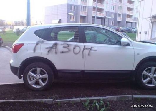 Daily Fun Pictures Collection 