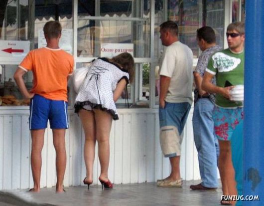 Daily Fun Pictures Collection 