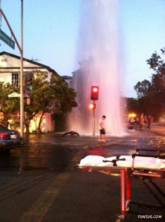 Daily Fun Pictures Collection 