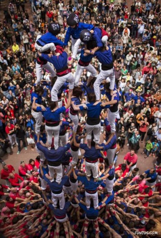 Daily Fun Pictures Collection 