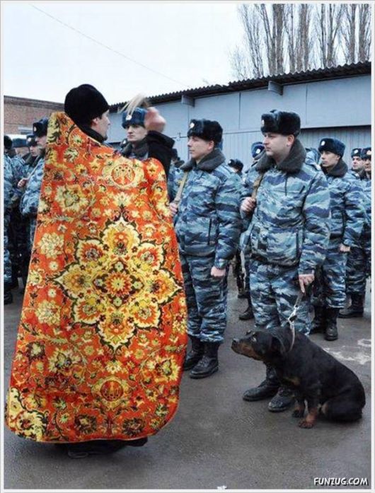 Laugh Over These Cool Funny Pics