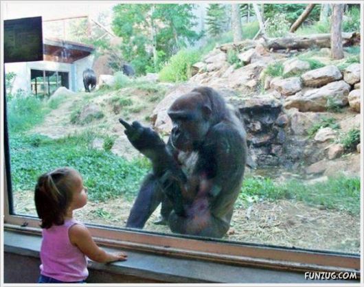 Laugh Over These Cool Funny Pics