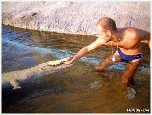 Laugh Over These Cool Funny Pics