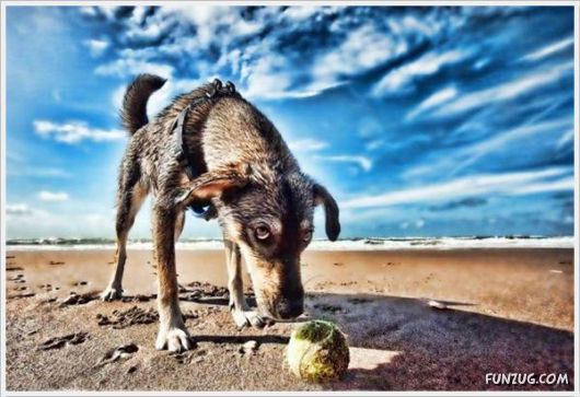 Laugh Over These Cool Funny Pics