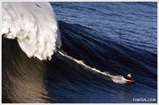 Laugh Over These Cool Funny Pics