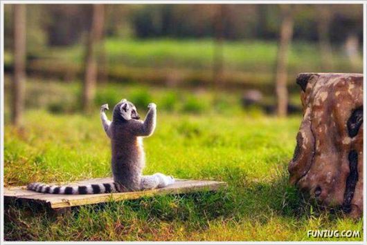 Laugh Over These Cool Funny Pics