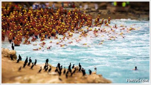 Laugh Over These Cool Funny Pics