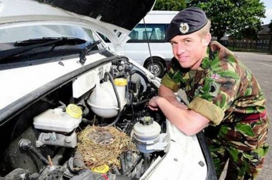 Little Fun Time Pictures