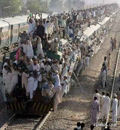 Skillful Masters of Transportation