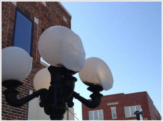 Hot Summers Funny Pictures