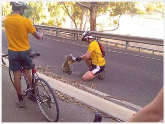 Hot Summers Funny Pictures