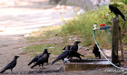 Amazing Pictures From India