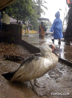 Amazing Pictures From India