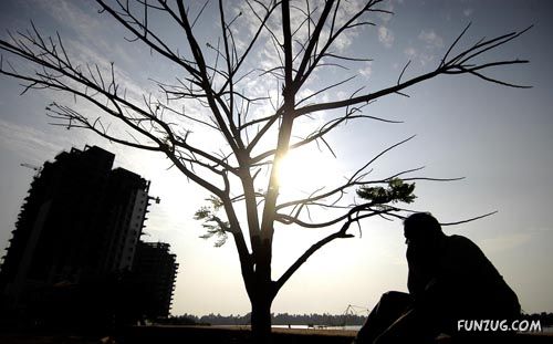 Amazing Pictures From India