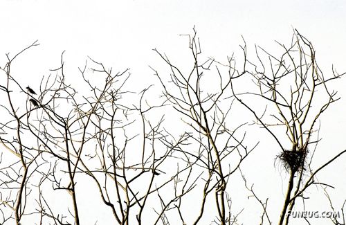 Amazing Pictures From India