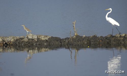 Amazing Pictures From India