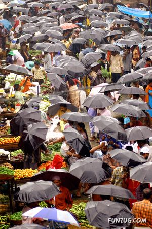 Amazing Pictures From India