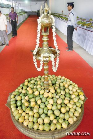 Amazing Pictures From India