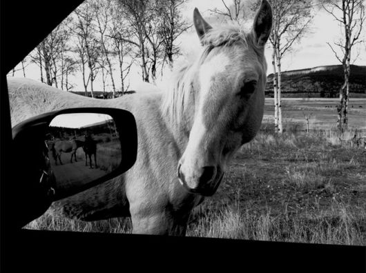 What Makes These Pictures Truly Unique?