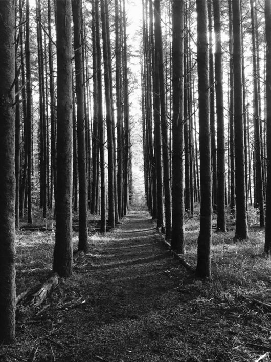 What Makes These Pictures Truly Unique?