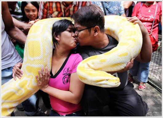 How World Celebrated Valentines Day