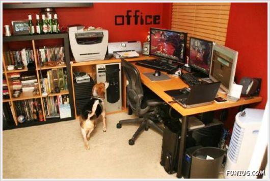 Cool Computer Rooms Ideas
