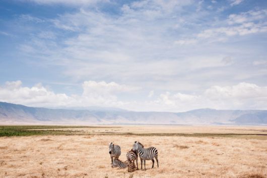 Winners Of The National Geographic Photo Contest