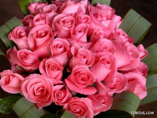 Beautiful Flowers 4 You