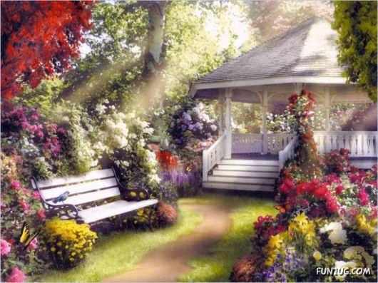 Beautiful Flowers 4 You