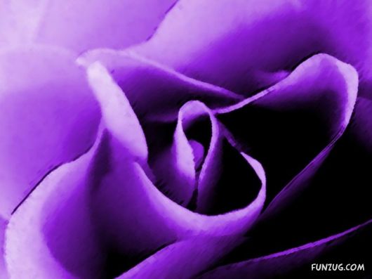 Beautiful Flowers 4 You