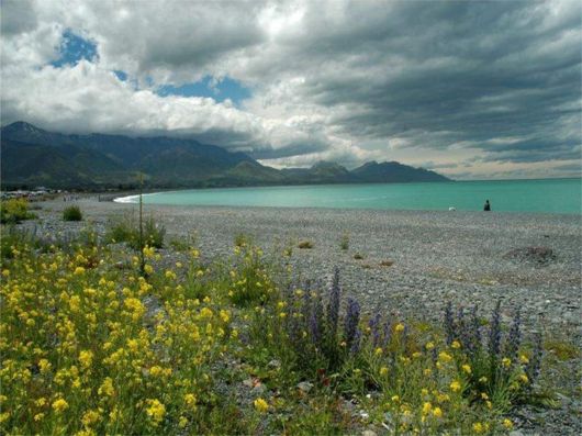 Beautiful Spring Flowers For You