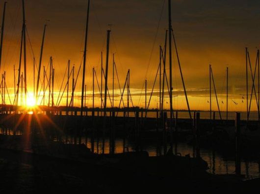 Beautiful Spring Flowers For You