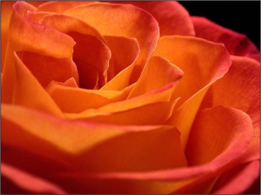 Beautiful Colors In The Nature