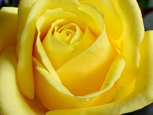 Beautiful Colors In The Nature