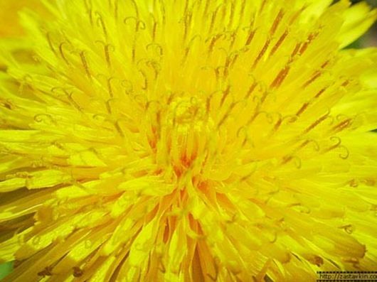 Beautiful Colors In The Nature