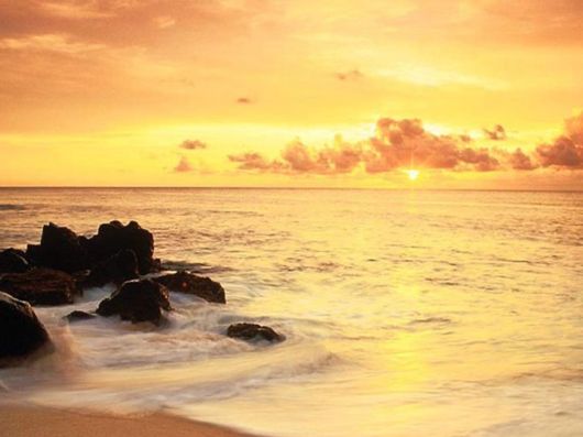 Beautiful Colors In The Nature